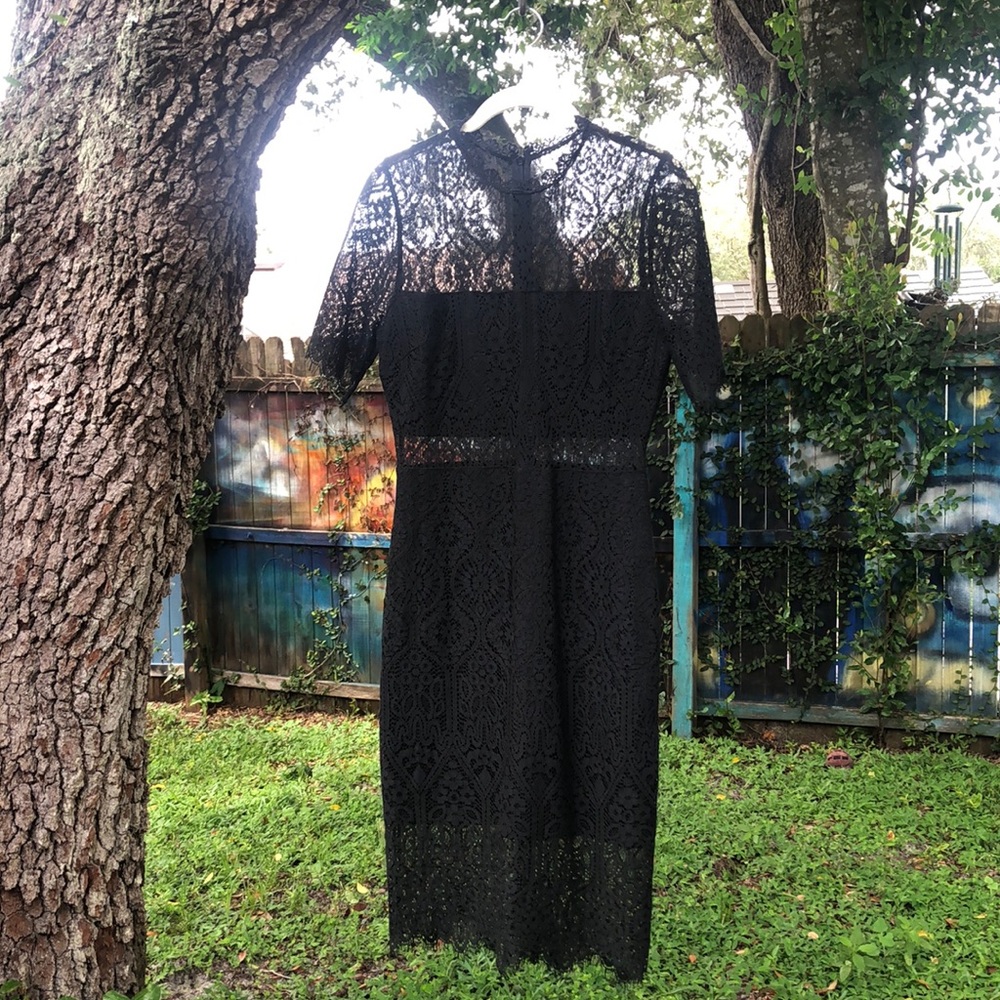 Sexy, elegant cocktail dress